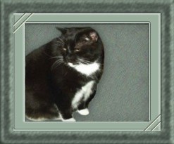 Ich heisse Ferdinand(ine) :-)